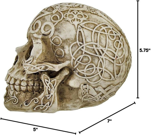 Private Label Celtic Owl Knotwork Human Skull Statue Pagan...