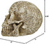 Private Label Celtic Owl Knotwork Human Skull Statue Pagan...