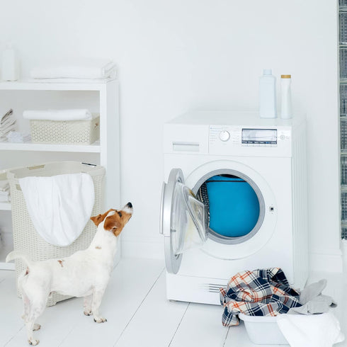 Navaris Pet Laundry Bag - Wash Bag Fur Catcher for Washing Machine - Dog Horse Cat Hair Trap Zip Bag for Pets Towels Bedding Rug - 31.10 x 27.75 i...