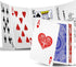 Playing Cards 2 Decks Waterproof Plastic Poker Cards for Texas Holdem Poker Go Fish and More Card Games Standard Index 2.5" x 3.5"...