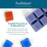 Scentsationals Wax Melts, Wax Cubes Strong Scent - Honeysuckle Pineapple - Long Lasting Scented Melts for Warmer, 10oz (24-Cubes)...