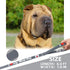 Customized Dog Leash for Your Beloved Shar-Pei, 6 FTX1IN, Polyester, Strong, Durable, Traditional Style...