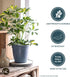 The HC Companies 6 Inch Eclipse Round Planter with Saucer - Indoor Outdoor Plant Pot for Flowers, Vegetables, and Herbs, Teal...