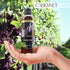 8oz and 2oz Fragrance Oil Set (Two Bottles, one with Dropper) (Pack of 2, Cabernet)...