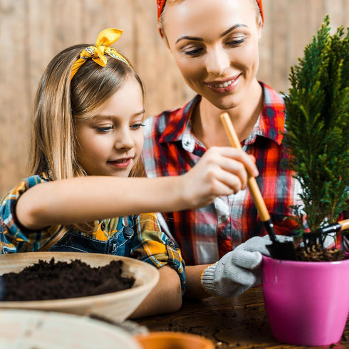 PATIKIL Mini Garden Plant Tool Set, 6 Pack Trowel Shovel Succulent Gardening Hand Tools for Seedlings Bonsai Herbs Planting...