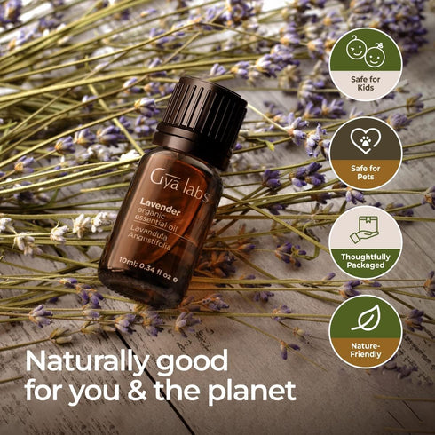 Gya Labs Organic Lavender Essential Oil for Diffuser & Skin - 100% Natural Organic Lavender Oil for Aromatherapy & Feelings of Relaxation - Lavend...