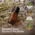 Gya Labs Organic Lavender Essential Oil for Diffuser & Skin - 100% Natural Organic Lavender Oil for Aromatherapy & Feelings of Relaxation - Lavend...
