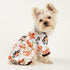 Dog Pajamas for Small Dogs, Chihuahua Pajamas, Puppy Clothes, Extra Small Puppy Pjs, Soft Pet Pjs,Dog Shirts Chihuahua Yorkie Teacup Cat Clothing ...