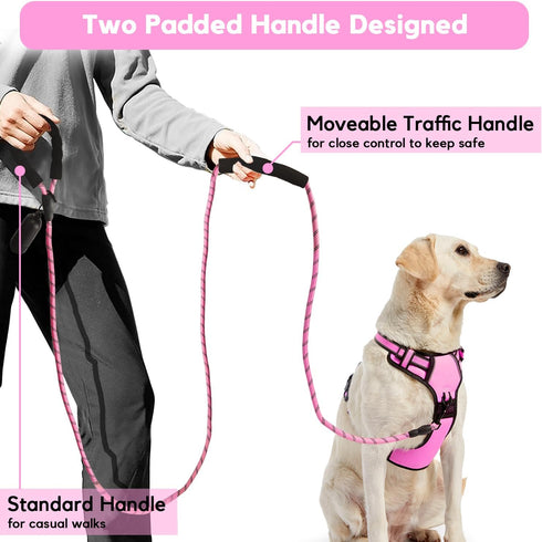 IVY&LANE Heavy Duty Dog Leash with Poop Bag Holder,Strong Rope Dog Leash with Padded Two Handle,5FT Reflective Threads Dogs Leash for Small Medium...