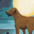 Dimensions PaintWorks 73-91857 Moonrise Dog Animal Paint by Number Kit for Adults and Kids, 11" x 11", Multicolor, 12pcs...