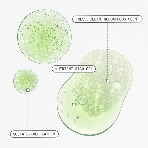 Youth To The People Daily Skin Health Youth Stack - Travel Size Superfood Cleanser (1oz) + Air-Whipped Moisture Cream (15ml) - Vegan Face Wash + F...