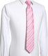 KissTies Mens Tie Striped Satin Necktie Wedding Ties + Gift Box...