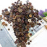 600 Pcs Resin Sewing Buttons Brown Button Assorted Sizes Assortment Buttons Brown Round Craft Mixed Brown Buttons for Sewing DIY Crafts Manual But...