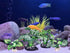 4PCS Aquarium Plants Betta Fish Tank Decorations Small Size Soft Faux Silk Aquarium for Hiding Fish Reptil...