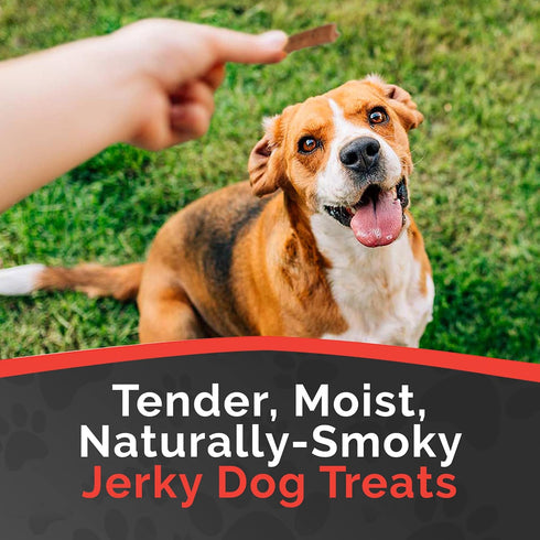 Miss Nelly's - Chicken Jerky Dog Treats - Soft Sticks - USA Made and Sourced - Original Smoke House Recipe - Small Batch Chicken Jerky for Dogs - ...