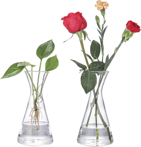 Haoideo Avocado Seed Sprout Starter Vase Planter Pot Glass Avocado Tree Plant Growing Vase Kit Indoor Home Decor Hydroponic Tabletop Flower Pot fo...