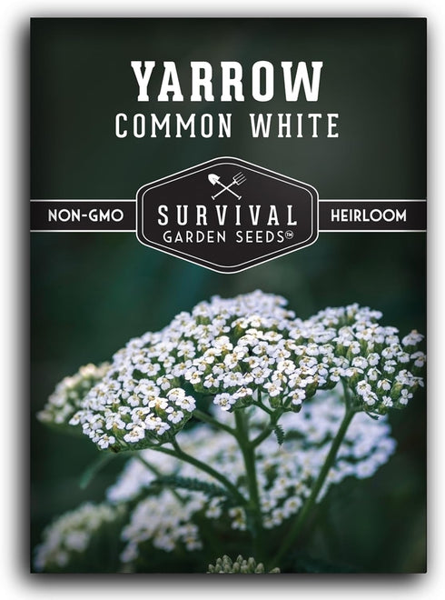 White Yarrow Seeds for Planting - 1 Packet with Instructions to Plant and Grow Beneficial Flowering Herbs in Your Home Vegetable Garden - Non-GMO ...