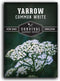 White Yarrow Seeds for Planting - 1 Packet with Instructions to Plant and Grow Beneficial Flowering Herbs in Your Home Vegetable Garden - Non-GMO ...