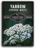 White Yarrow Seeds for Planting - 1 Packet with Instructions to Plant and Grow Beneficial Flowering Herbs in Your Home Vegetable Garden - Non-GMO ...