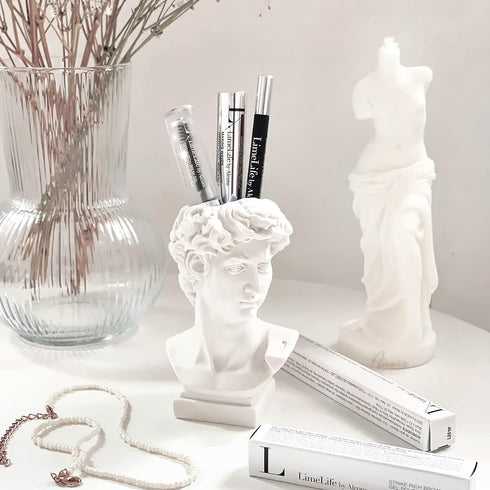 David Statue Vase - 6 Inch Greek Bust Head Aesthetic Planter White Home Decor Roman Style Resin Succulent Flower Planter Pot Sculpture Brushes Hol...