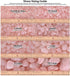 Hypnotic Gems Materials: 1/2 lb Rose Quartz Tumbled Stones - Grade 2 - XXLarge - 1.75" to 2.5" Avg. - Bulk Natural Rocks Polished Gemstone Supplie...