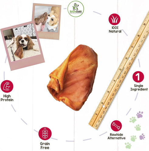 Nature Gnaws Pig Ears for Dogs - Premium Natural Pork Dental Chews - Thick Long Lasting Dog Chew Treats for Aggressive Chewers - Rawhide Free 8 Co...