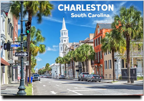 Charleston Fridge Magnet South Carolina Travel Souvenir......