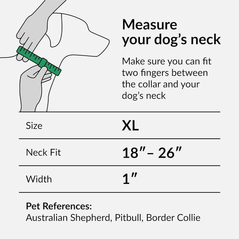 CollarDirect Aztec Dog Collar Adjustable Nylon Tribal Pattern Geometric Pet Collars for Dogs Small Medium Large Puppy (Aztec Sunset, Neck Fit 18"-...