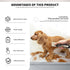 MAIRAN Dogs Pet Shaver Low Noise USB Charging Cordless Dog Grooming Kit Electric Pet Hair Trimmer Pet Hair Trimmer Large Medium and Small Dog and ...