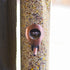 Cottage Garden 15 inch Copper Finish Weather Resistant 1 Lb. Outdoor Hanging Bird Seed Feeder...