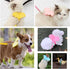 3PCS Pet Duck Walking Harness Leash and Wings,Adjustable Outdoor Training Traction Rope for Chicken Duck Goose Hen Small Pets (L)...