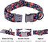 Lionheart glory Floral Print Dog Collar Adjustable Soft Dog Collar Girl or Boy Pet Collars for X-Small Dogs Blue Collars Spring Dogs Collar...