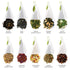 Tea Forte Tea Tasting Assortment Premium Petite Presentation Box Gift Set Sampler, 10 Count, 1 of Each Variety Individually Wrapped Handcrafted Py...