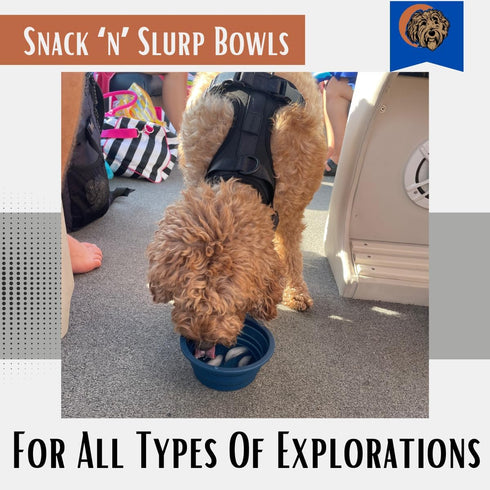 Tito's Closet 2-Pack Collapsible Dog Bowls - Blue, 20 Ounces - Travel Dog Water Bowl, Dog Bowl Slow Feeder, Dog Travel Essentials for Pet Parents ...