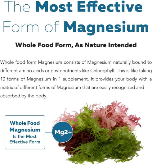 Organic Magnesium | Whole Food Magnesium - Plant-Based, Organic Sea Vegetable Complex - 250 mg Magnesium Per Serving | Water Extracted | Gentle on...