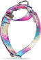 Martingale Dog Collars Colourful Oil painting Pattern series - No Pull Pet Collar Silky Soft for Medium and Large Dogs (Medium, 1 Inch Wide, Profu...