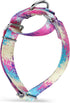 Martingale Dog Collars Colourful Oil painting Pattern series - No Pull Pet Collar Silky Soft for Medium and Large Dogs (Small, 5/8 Inch Wide, Prof...