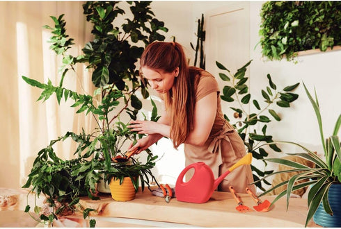 Tramontina 3 Piece Garden Set, Wood Handles, Plastic Packaging...