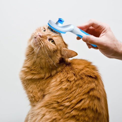 Cat brush,Self Cleaning Slicker Brush,Cat Grooming,Pet Massaging Tool Suitable for Pets with Long or Short Hair,Dog Grooming Brush Tool Gently Rem...