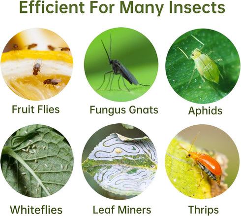 Stingmon 120 Pack Fruit Fly Trap for Indoors, Fungus Gnat Killer Indoor Sticky Traps for Mosquito and Flying Insects, Bug Pest Insect Catcher Kill...