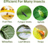 Stingmon 120 Pack Fruit Fly Trap for Indoors, Fungus Gnat Killer Indoor Sticky Traps for Mosquito and Flying Insects, Bug Pest Insect Catcher Kill...