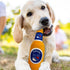 Pets First NHL NEW YORK RANGERS BEER BOTTLE PLUSH DOG & CAT SQUEAK TOY - Cutest STADIUM SODA BOTTLE SNACK Plush Toy for DOGS & CATS with INNER SQU...