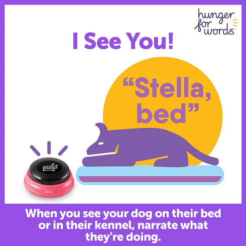 Hunger For Words Talking Pet Next Words Locations - 3 Piece Set of Recordable Speech Buttons for Dogs, Dog Buttons for Communication...