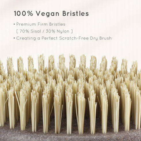 Back Bath Brush- Coffee & Wheat Straw Handle- for Shower Vegan Bristle Bath Scrubber Body Brush for Showering, Shower Brush for Men & Women…...