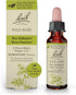 Bach Original Flower Remedies, Wild Rose for Enthusiasm (Non-Alcohol Formula), Natural Homeopathic Flower Essence, Holistic Wellness and Stress Re...