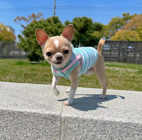 Frienperro Small Dog Shirt, 2-Pack Dog Clothes for Small Dogs Girl, Breathable Cotton Striped Teacup Chihuahua Clothes, Sleeveless Small Yorkie Pu...
