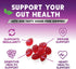 Sugar Free Fiber Gummies for Adults, Daily Prebiotic Fiber Supplement & Digestive Health Support - Supports Regularity & Digestive Health, Nature'...