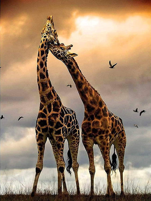 FANGKISSU DIY 5D Diamond Painting Kits for Adults, Full Drill Dusk Giraffe Diamond Art Painting by Number Kits,Arts Craft for Home Wall Decor 12x1...