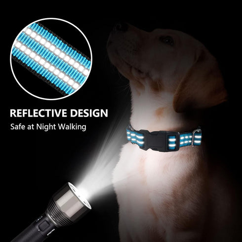 Martingale Dog Collar, Adjustable Nylon Reflective Collar with Buckle No Pull Dog Collar for Small Medium Large Dogs (Blue M)...