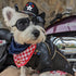 Dog Winter Coat Pu Leather Motorcycle Jacket for Dog Pet Clothes Leather Jacket, Waterproof(S)...